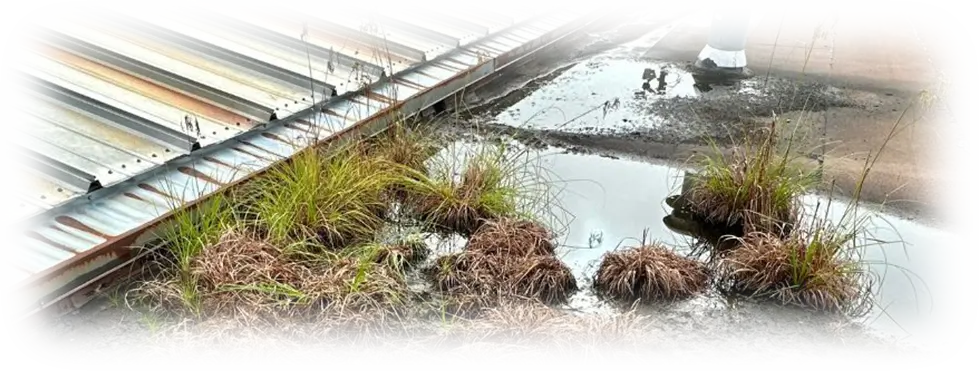 Roof inspections and maintenance